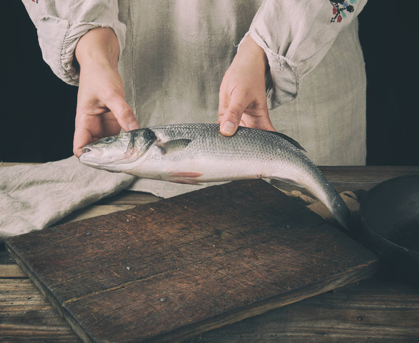 mulher em roupas de linho cinza segurando um peixe robalo fresco
 - Foto, Imagem