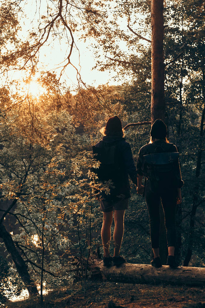 Romantic couple is standing on the log in green bright forest and watching sunset - Photo, Image