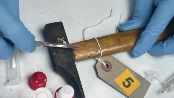 Ученый полиции анализирует кровь с места преступления у лабораторного криминалиста
 - Кадры, видео