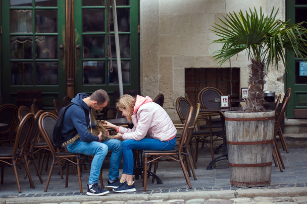 Ukraina, Lwów-13 maja 2019: turyści pieścić kota siedzącego w kawiarni - Zdjęcie, obraz