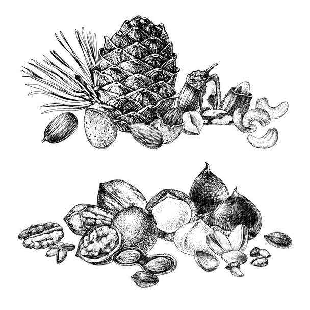 Borders with hand drawn edible nuts - Vettoriali, immagini