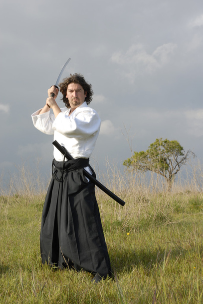 człowiek Aikido - Zdjęcie, obraz