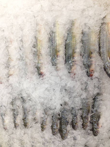 poisson frais sur la glace sur le marché - Photo, image