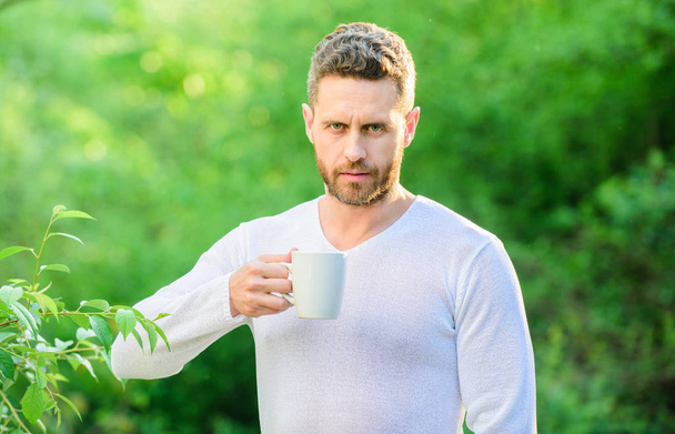 I prefer green tea. Refreshing drink. Man bearded tea farmer hold mug nature background. Green tea contains bioactive compounds that improve health. Whole leaf tea. Natural drink. Healthy lifestyle - Foto, imagen