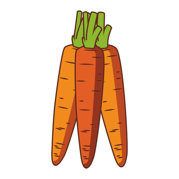 marchew świeże warzywa - Wektor, obraz
