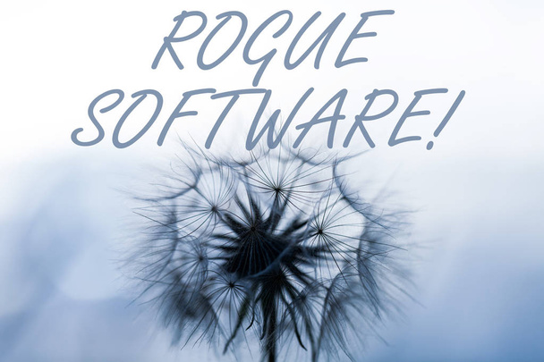 Texto de escritura de palabras Rogue Software. Concepto de negocio para el tipo de malware que se hace pasar por software antimalware
. - Foto, imagen
