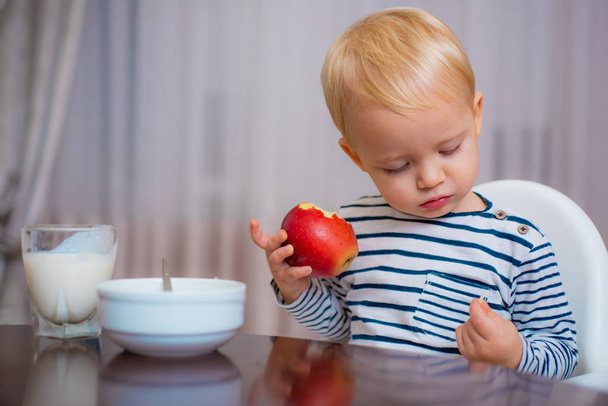 Child eat porridge. Kid cute boy blue eyes sit at table with plate and food. Healthy nutrition. Healthy food. Boy cute baby eating breakfast. Baby nutrition. Eat healthy. Toddler having snack at home - Foto, immagini