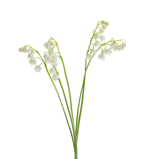 Beautiful fragrant lily of the valley flowers on white background - Photo, Image