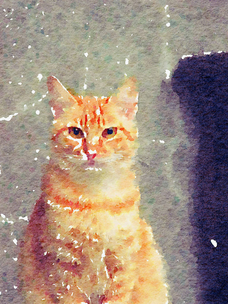 Ilustración colorida del arte pintado a mano de la acuarela: gato / gatito / gatito (ilustración 2D CG de alta resolución
) - Foto, Imagen