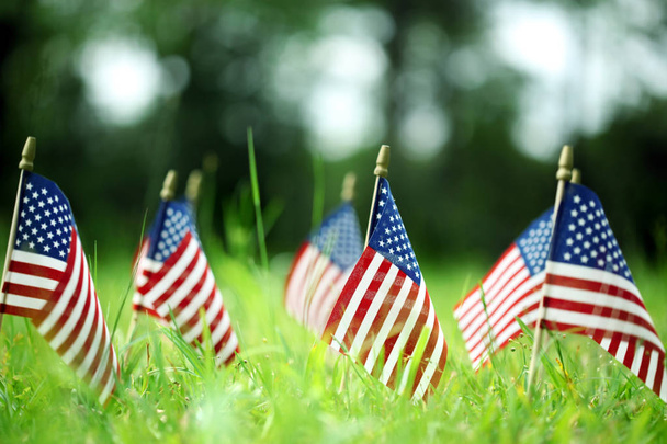Ομάδα αμερικανικών σημαιών σε πράσινο γρασίδι - Φωτογραφία, εικόνα