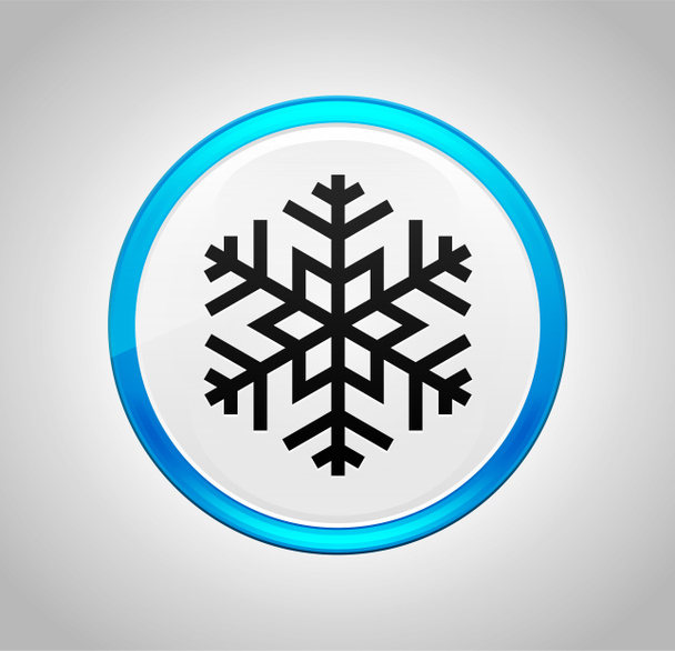 Copo de nieve icono ronda pulsador azul
 - Foto, imagen
