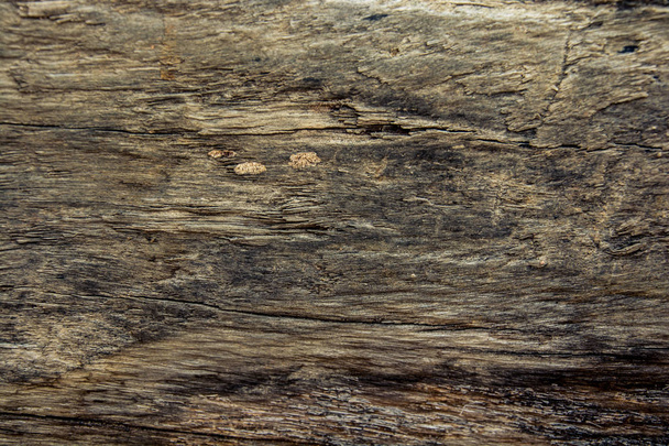 Old wood background and texture - Foto, afbeelding