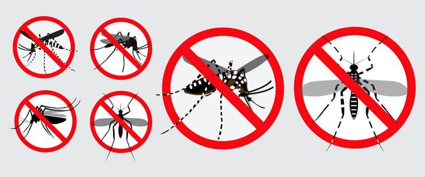 Aedes aegypti veya chikungunya veya Zika sivrisinek izole seti.   - Vektör, Görsel