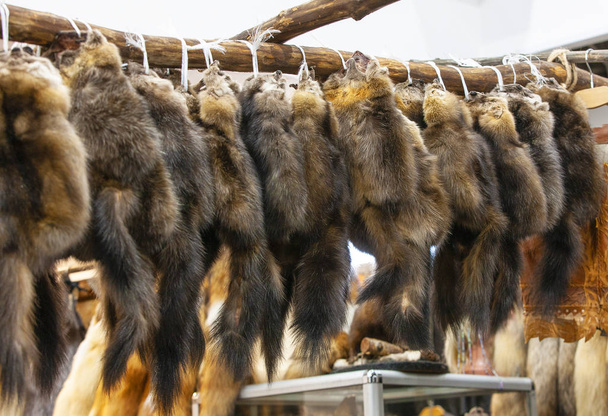 Sable fur skins op de fur Exhibition - Foto, afbeelding