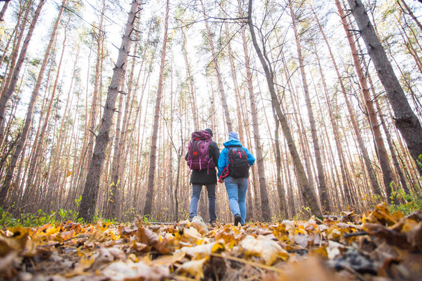 приключения, путешествия, туризм, походы и люди концепции - пара ходьба с рюкзаками на осень природного фона, вид сзади
 - Фото, изображение
