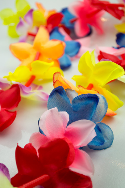 Close-up lei hawaiano colorato con fiori luminosi su sfondo bianco
 - Foto, immagini