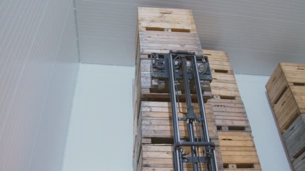 cargador cargando cajas grandes con manzanas
 - Imágenes, Vídeo