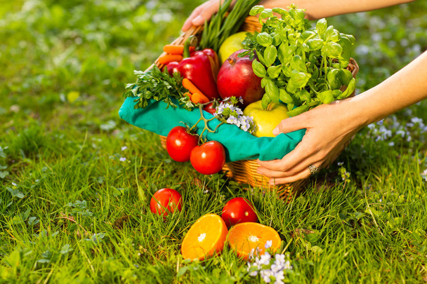 Mãos femininas segurando cesta de vime com legumes e frutas, close-up
 - Foto, Imagem