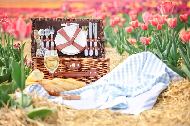 Место для пикника среди тюльпанов на открытом воздухе в весенний день
 - Фото, изображение