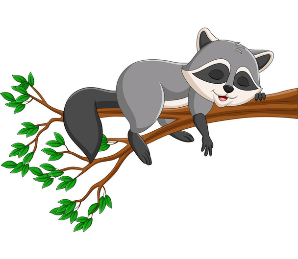 Ilustración vectorial de mapache de dibujos animados durmiendo en la rama del árbol
 - Vector, Imagen