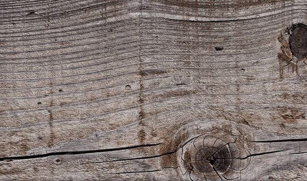 grijs verweerde hout textuur met knopen en groeiringen - Foto, afbeelding