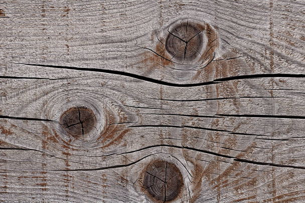 grey weathered wood texture with knots and growth rings - Photo, Image