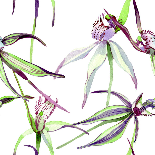 Wild orchid floral botanical flowers. Watercolor background illustration set. Seamless background pattern. - Foto, Imagem
