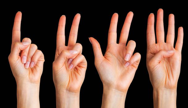 Набір жіночих рук розраховують на пальці
 - Фото, зображення