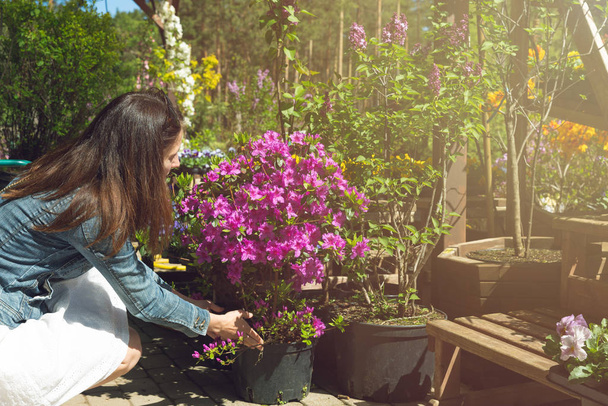vrouw kiest bloem potten in tuin plant kwekerij winkel - Foto, afbeelding