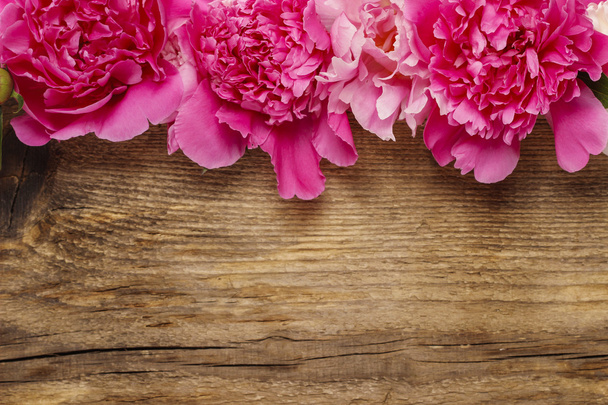Stunning peonies on wooden background. Copy space. - Foto, afbeelding