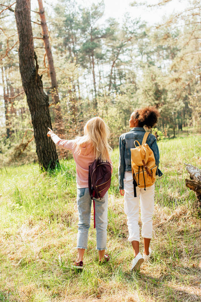 back view of two multiethnic friends with backpacks walking in forest - Φωτογραφία, εικόνα
