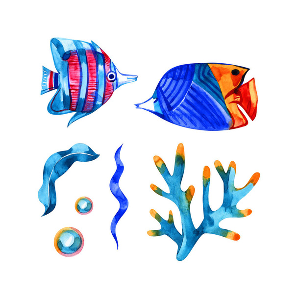Watercolor sealife set. Hand drawn illustration isolated on white background. - Foto, immagini