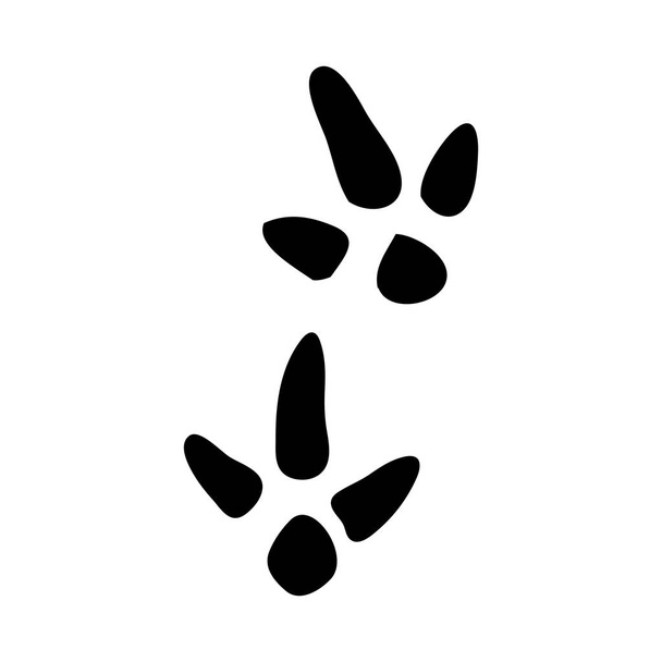 Pintail Footprint - Vector, Image
