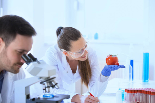 Scientists  with vegetables in laboratory - Foto, afbeelding