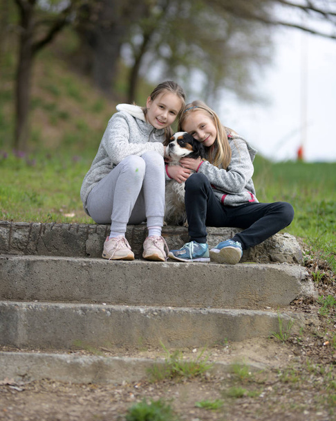 happy child girl with her dog  - Valokuva, kuva