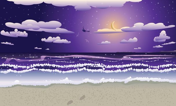 夜のビーチ - ベクター画像