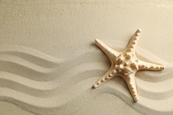 Чистый морской песок с морской звездой, пространство для текста. Летние каникулы
 - Фото, изображение