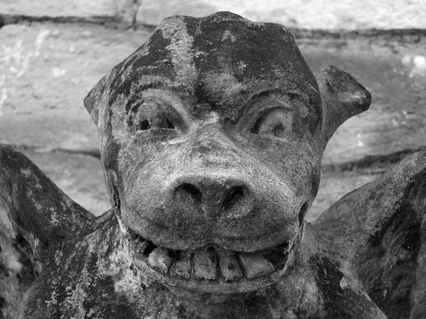 medieval gargoyle fave on stone church wall in york - Photo, Image