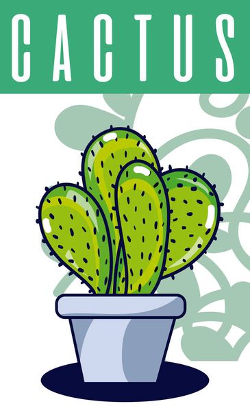 Kaktusz-szobanövény - Vektor, kép