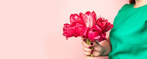 国際女性デー、母の日、モックアップのためのグリーティングカード。ピンクの背景にチューリップの花を保持マニキュアと女性の手. - 写真・画像