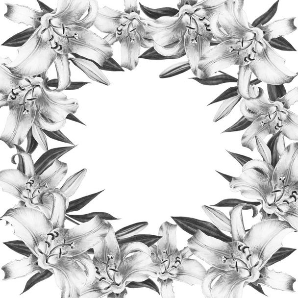 μαύρο και άσπρο κρίνα απρόσκοπτη φόντο μοτίβο - Φωτογραφία, εικόνα