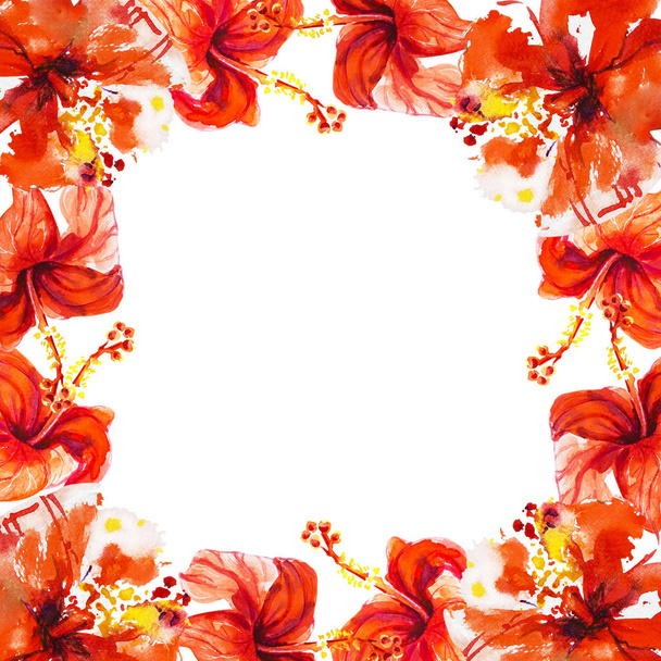 Marco de flores de hibisco aislado en blanco
 - Foto, imagen