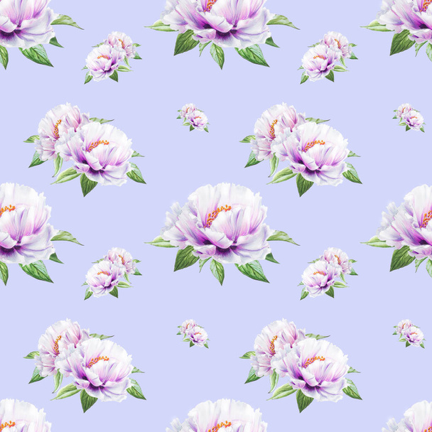 weiße Pfingstrose Blumen nahtlose Hintergrund Illustration - Foto, Bild