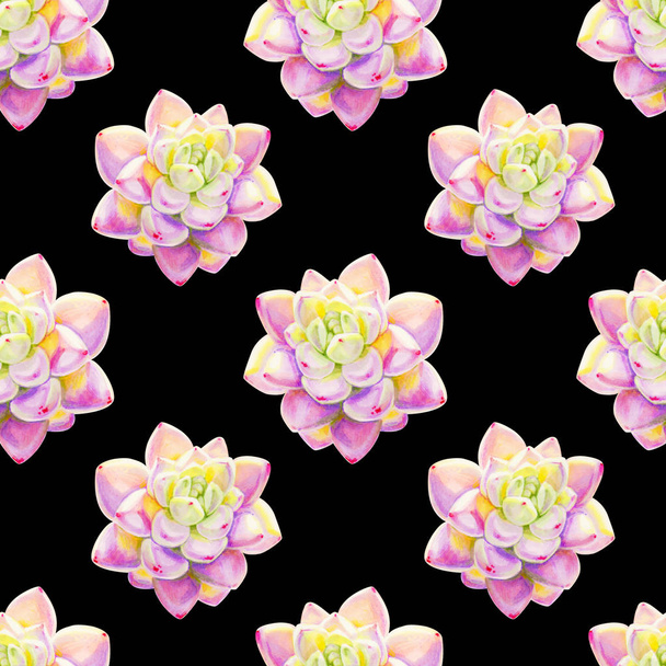 seamless background pattern with succulent plants - Foto, imagen