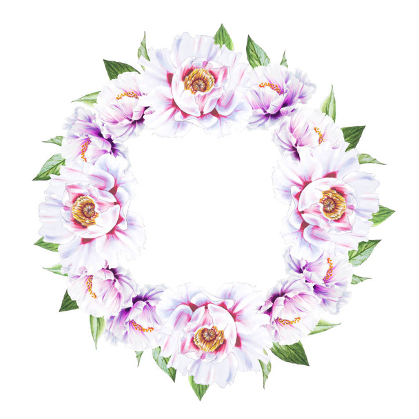 white peony flowers frame on white background - Photo, image
