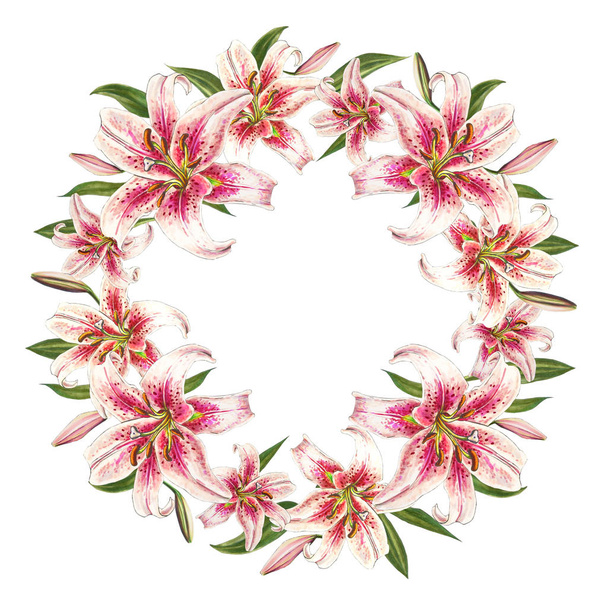 pink lilies frame on white background - Zdjęcie, obraz