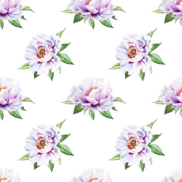 weiße Pfingstrose Blumen nahtlose Hintergrund Illustration - Foto, Bild