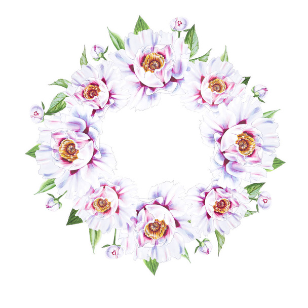 white peony flowers frame on white background - Фото, зображення