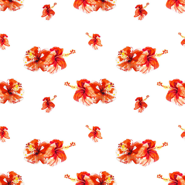 Marco de flores de hibisco aislado en blanco
 - Foto, imagen