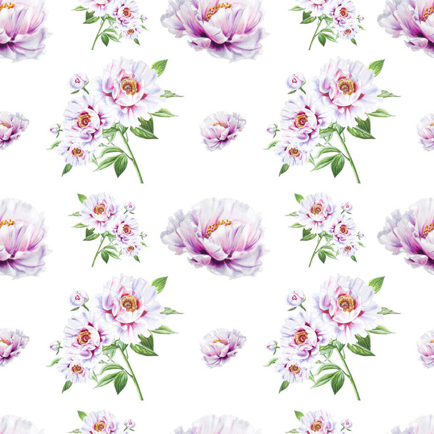 white peony flowers seamless background illustration - Foto, Imagen